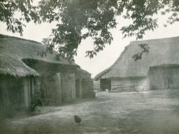 Okolice Łowicza, lata 50